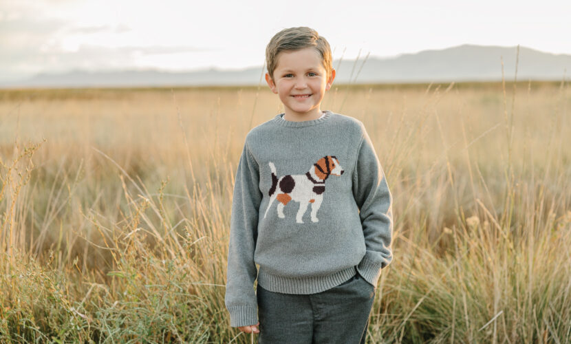 boy wearing a cozy sweater with a dog design, playing in a field. Comfortable boys and toddlers' sweater for active kids